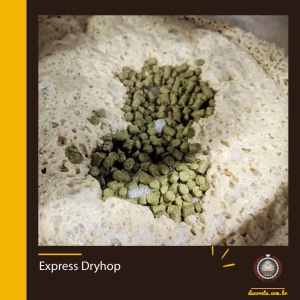 Express Dryhop